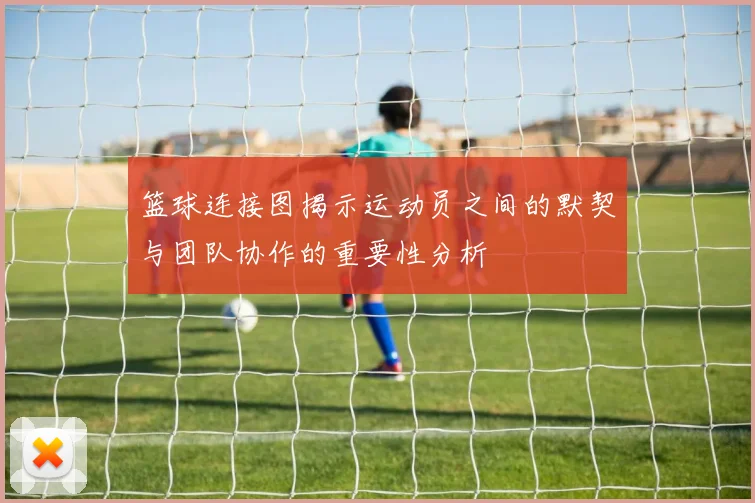 篮球连接图揭示运动员之间的默契与团队协作的重要性分析