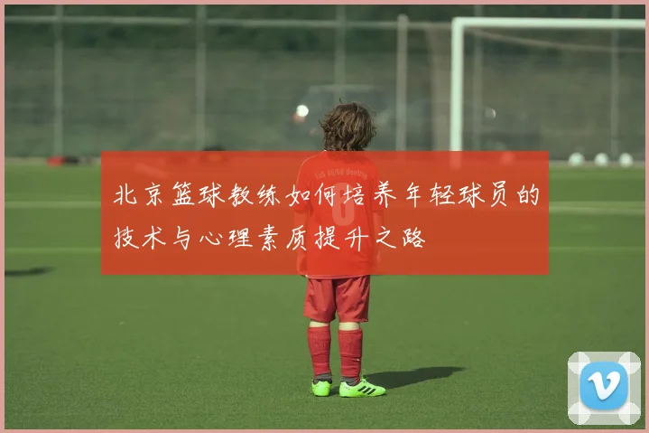 北京篮球教练如何培养年轻球员的技术与心理素质提升之路