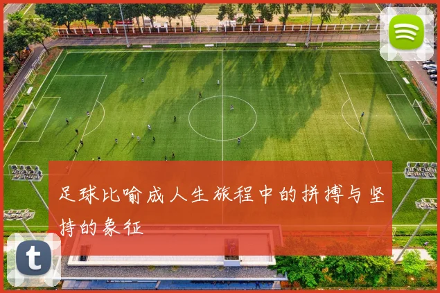 足球比喻成人生旅程中的拼搏与坚持的象征