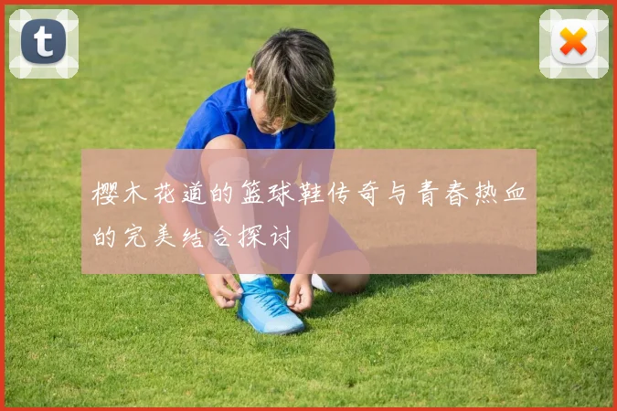 樱木花道的篮球鞋传奇与青春热血的完美结合探讨