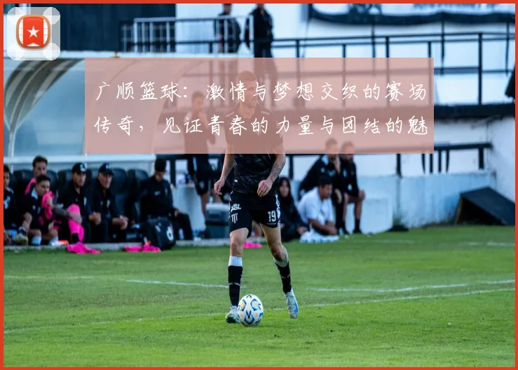 广顺篮球：激情与梦想交织的赛场传奇，见证青春的力量与团结的魅力