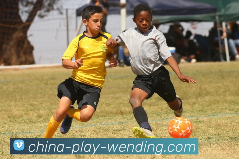 问鼎娱乐平台生态图